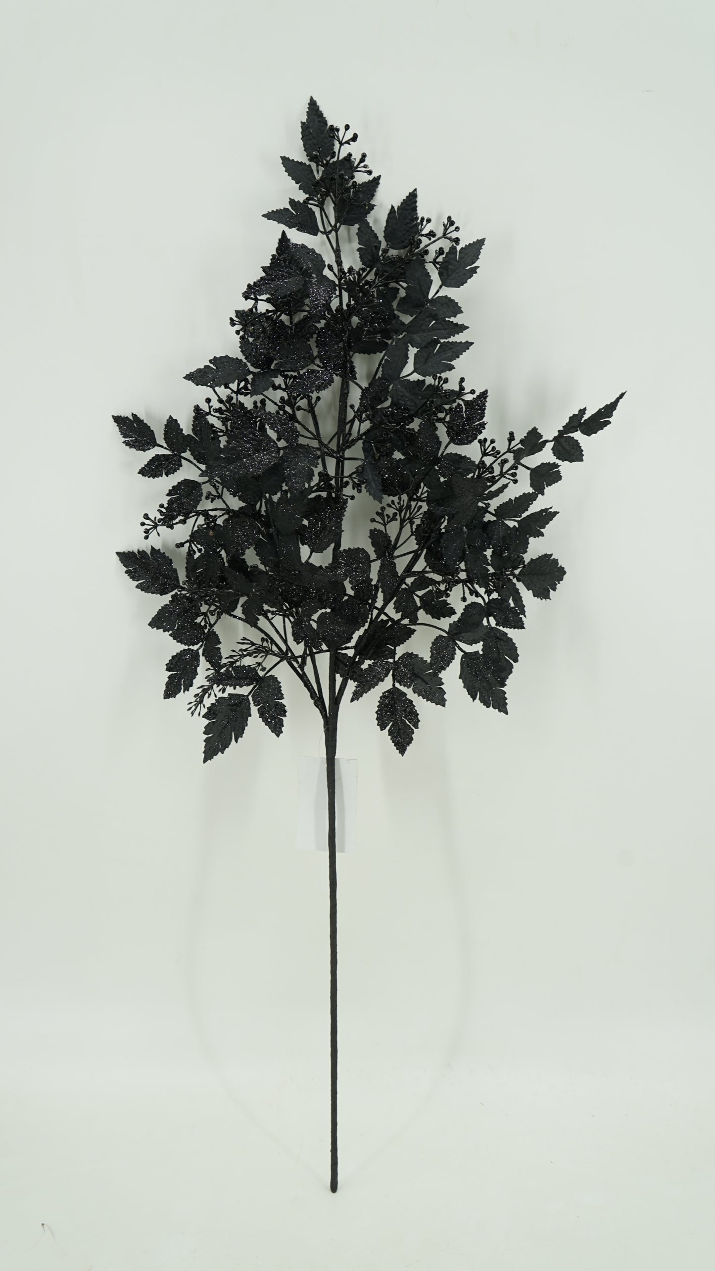 34 IN BLACK COHOSH LEAF