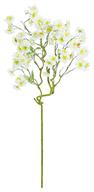 Cherry Blossom Branch- 2" Bloom Cream Beauty