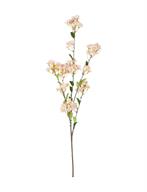 Cherry Blossom Branch Blush
