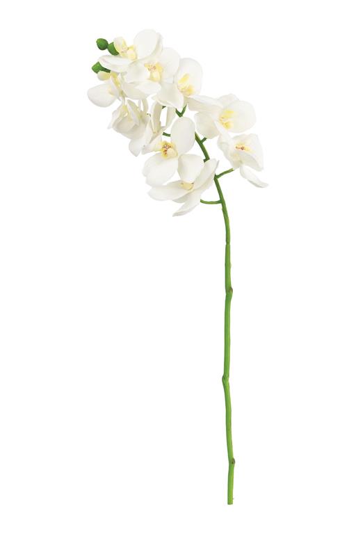PHALAENOPSIS ORCHID SPRAY 21" WHITE - Burlap and Bling Decor