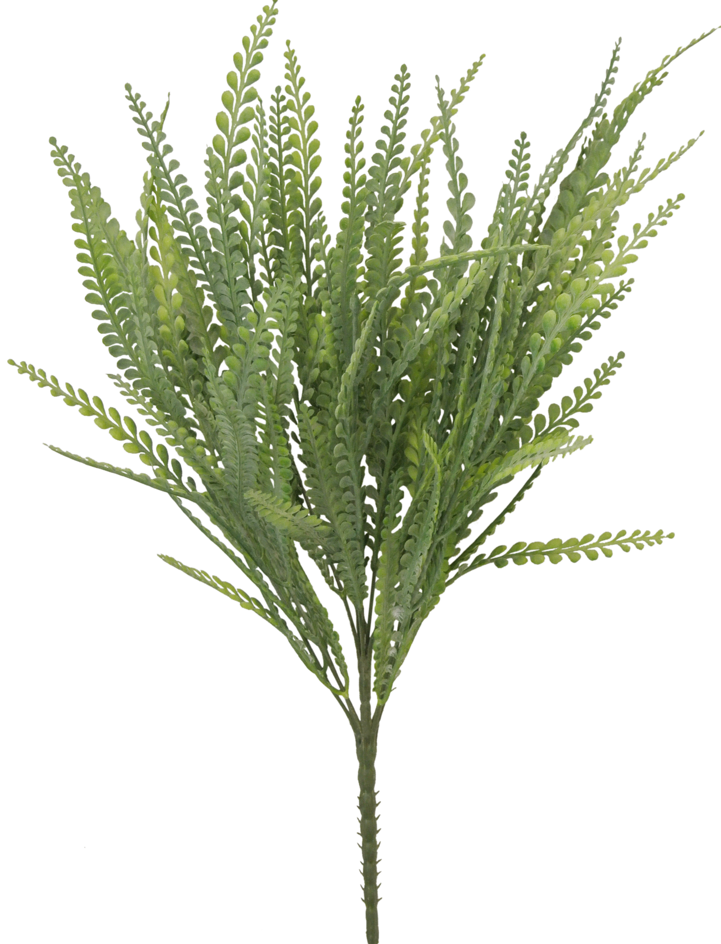 21 IN BUTTON FERN - Burlap and Bling Decor