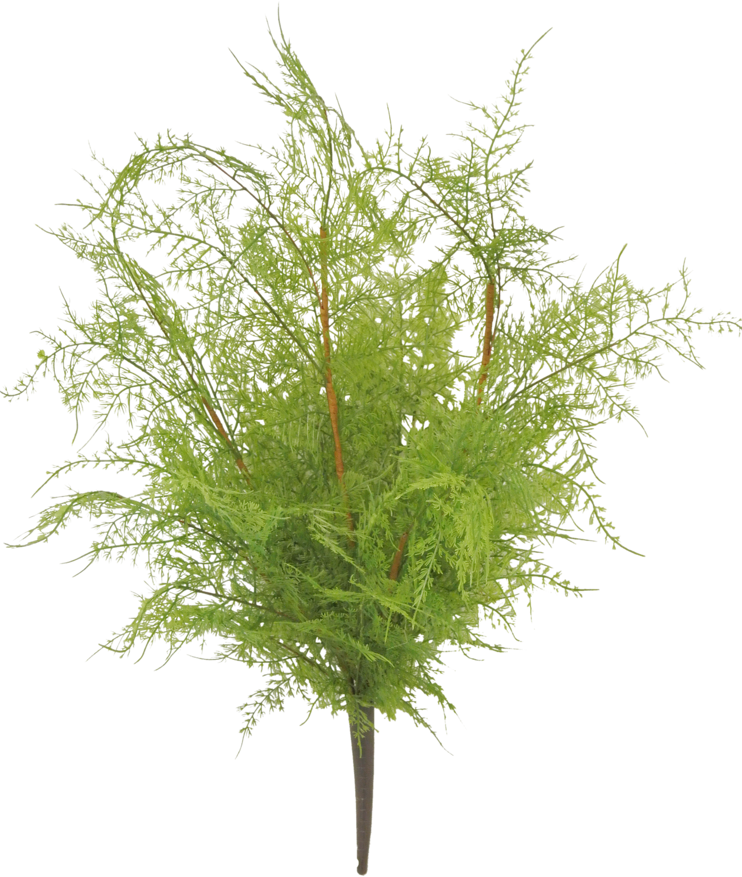 22 IN ASPARAGUS BUSH - Burlap and Bling Decor