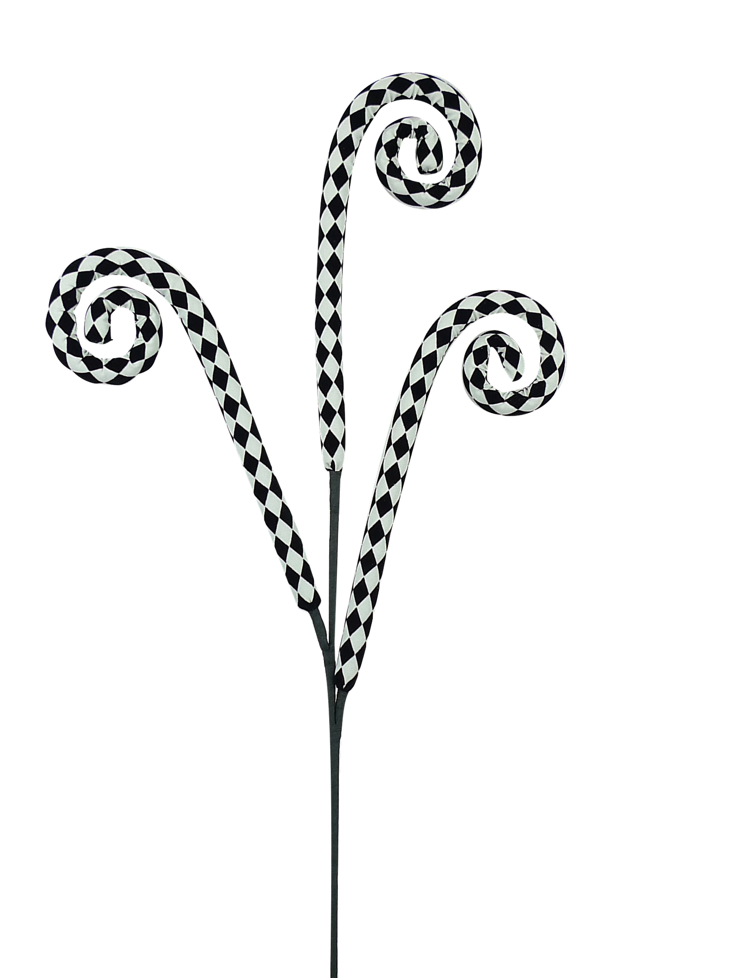 Harlequin Curly Spray Black/White
