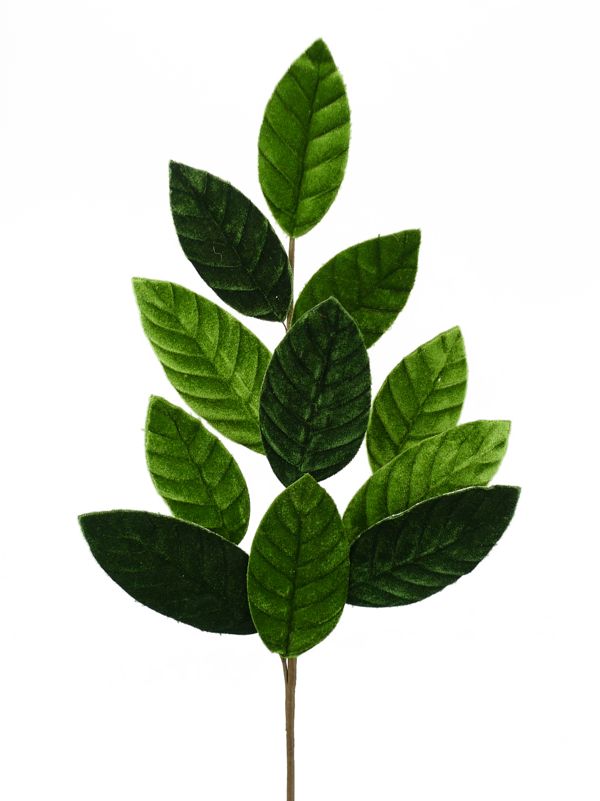 Green Velvet Magnolia Leaf Spray 25"