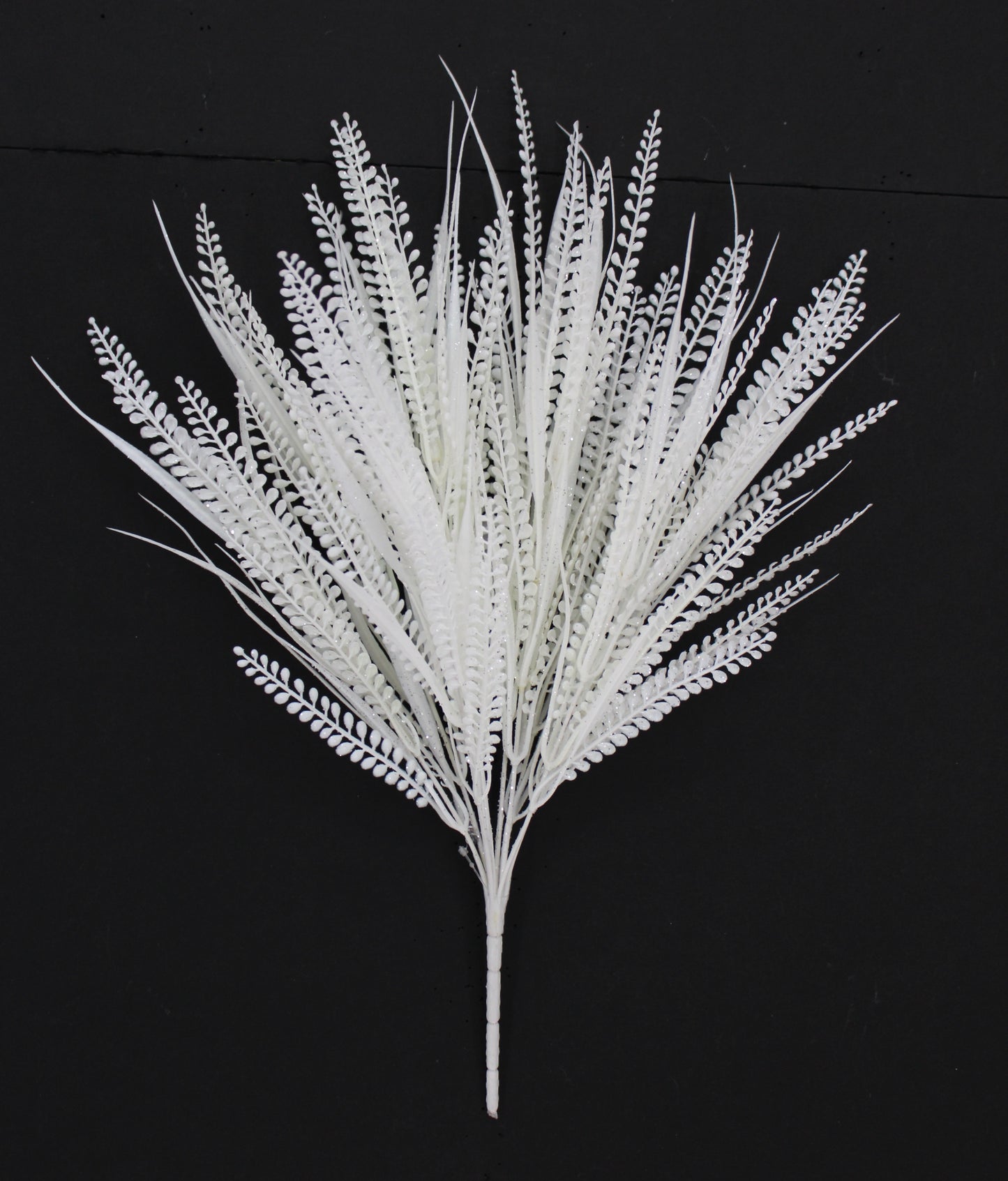 20 " WHITE BUTTON FERN
