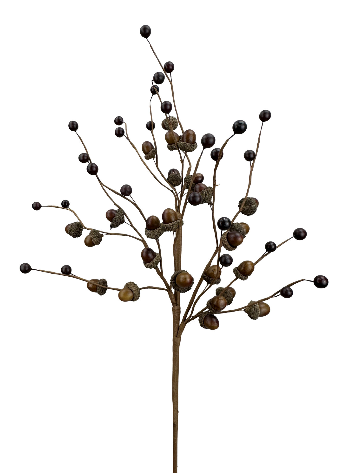 Mini Acorn Spray