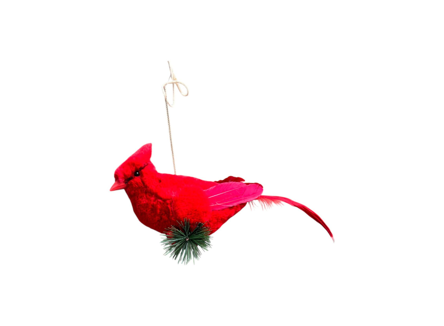 10" RED CARDINAL W/BERRY