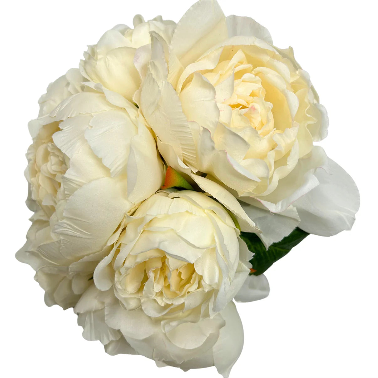 Perfect Peony Bouquet - 11" - Cream