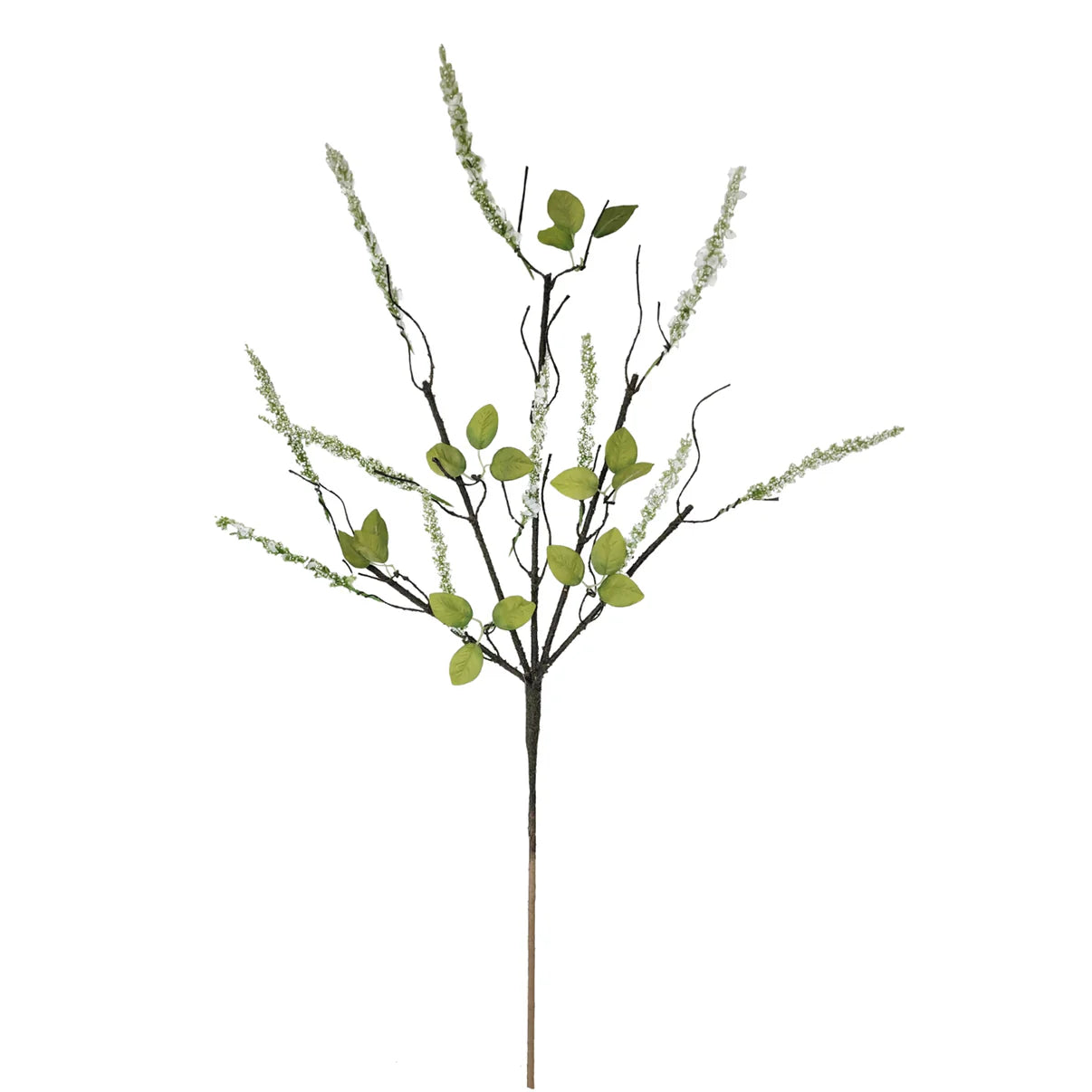 Budding Wisteria Branch - White