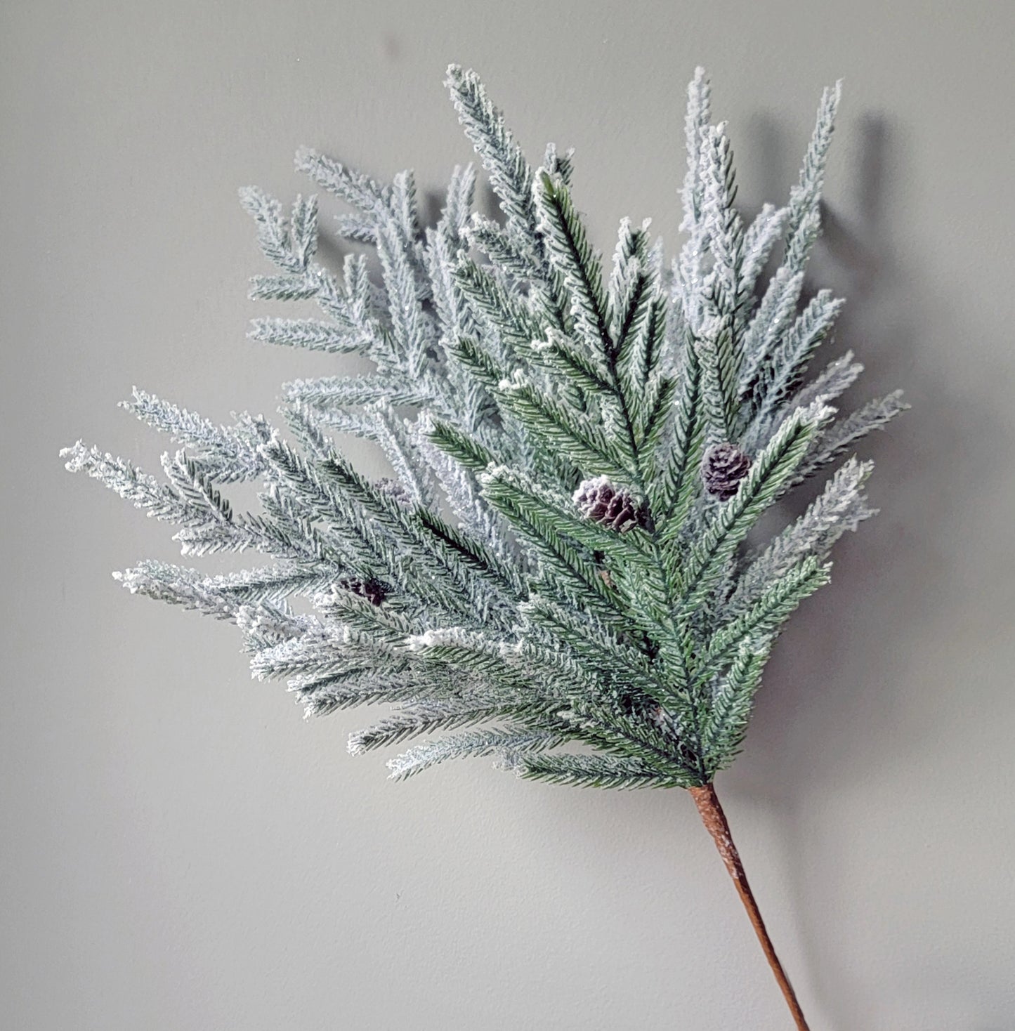 Flocked Norfolk Pine W/Cones Bush, 19"