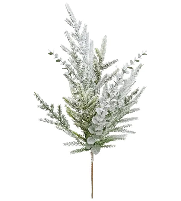 Flocked Norfolk Eucalyptus Spray, 23"
