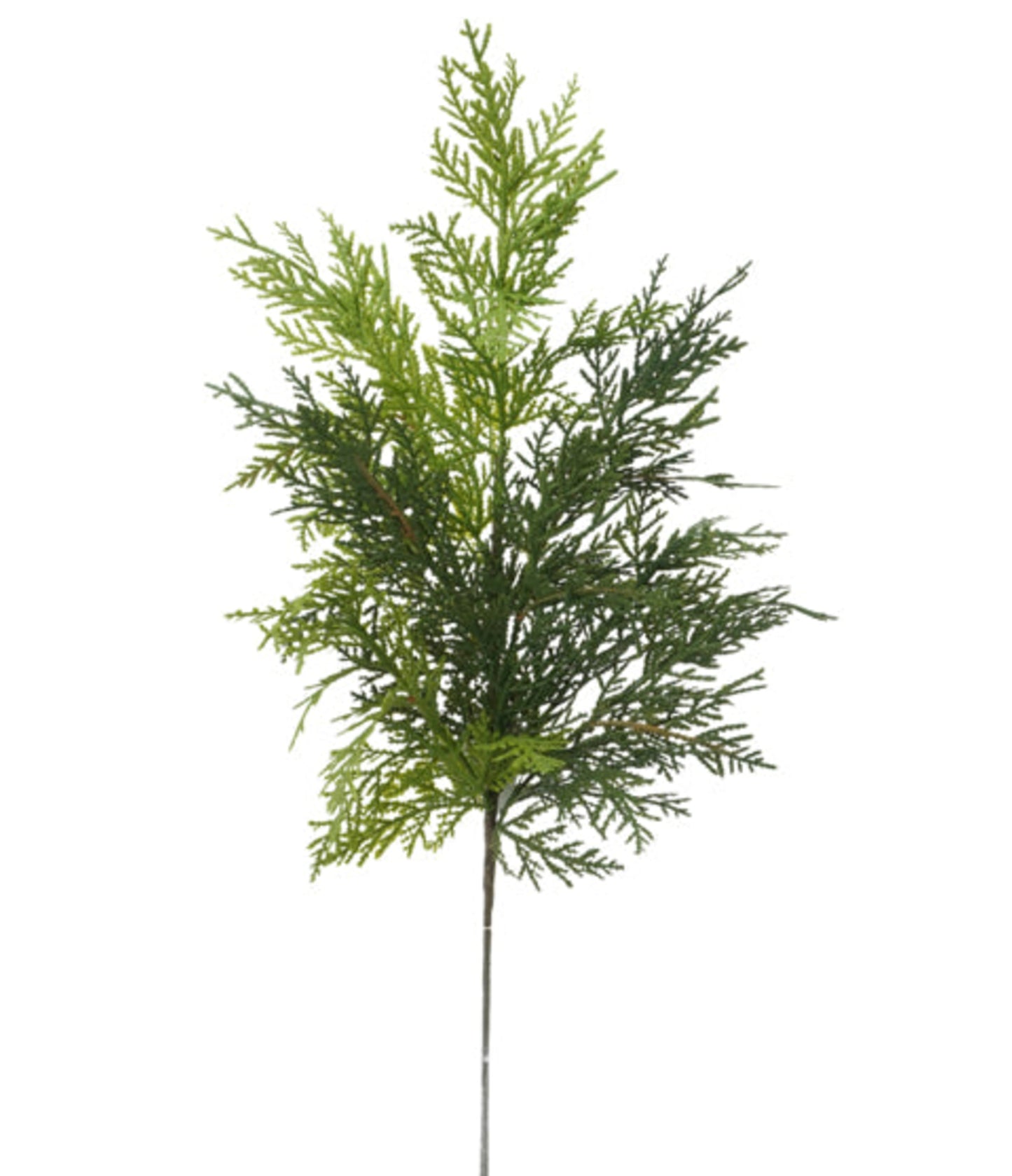 Cedar Spray, 23"