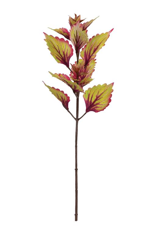 COLEUS PICK 18" AUTUMN