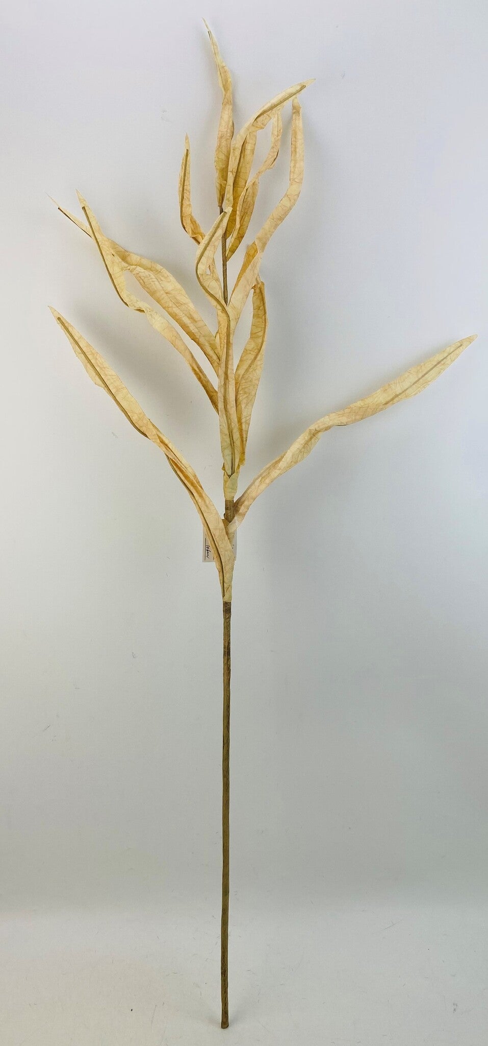 41.5IN DRIED CORN LVS SPRAY - Burlap and Bling Decor