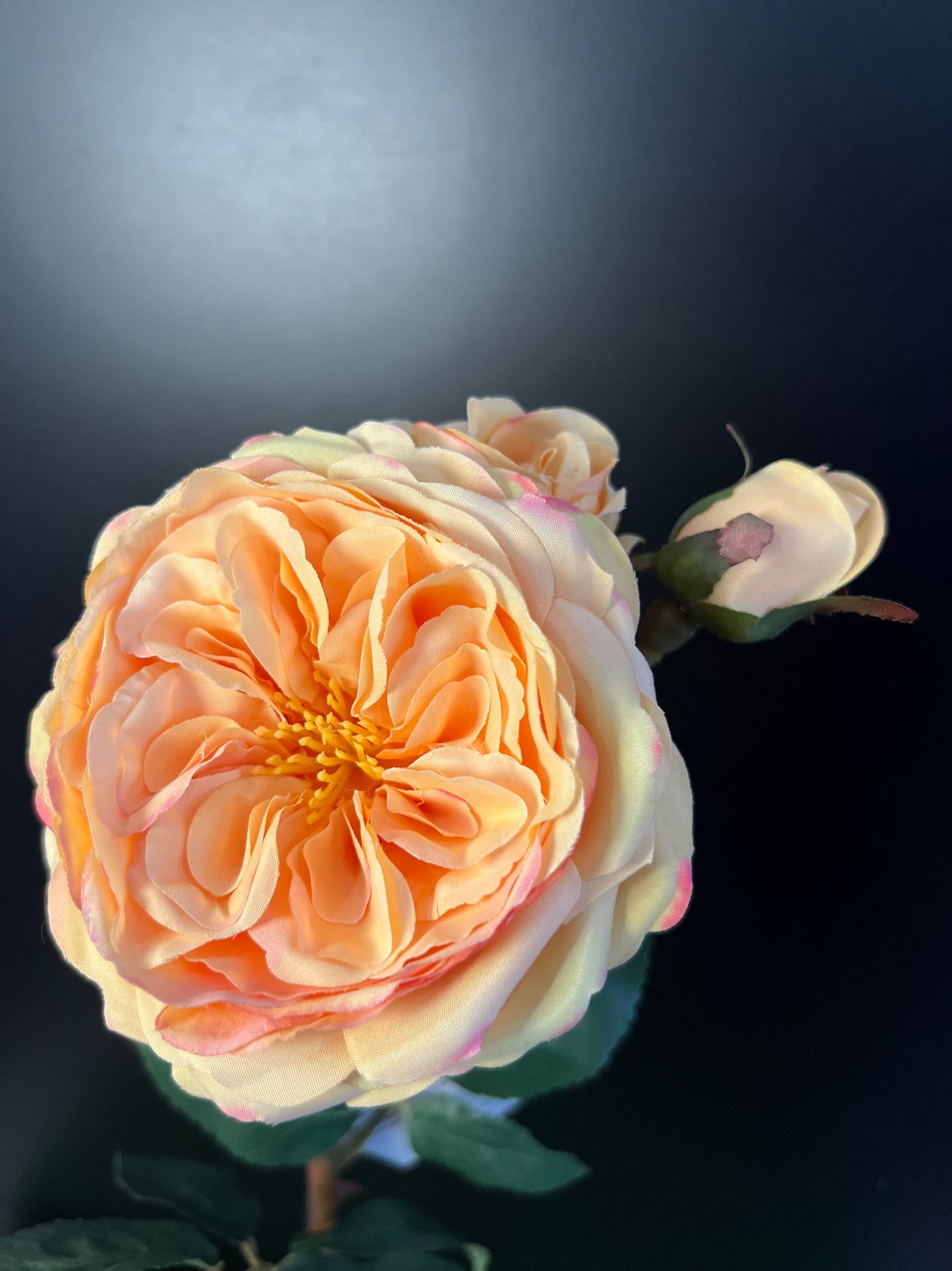 ENGLISH ROSE Yellow 22" - Burlap and Bling Decor