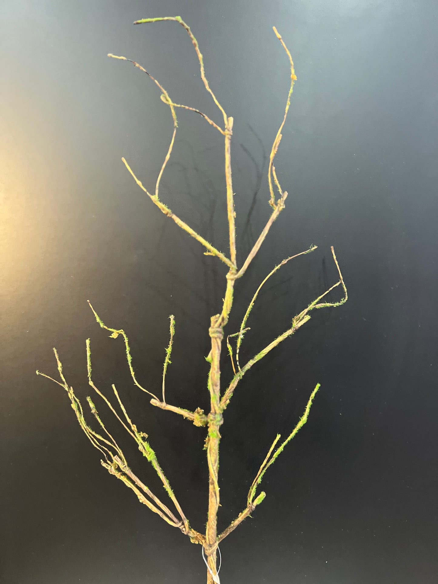 31" TWIG BRANCH W MOSS - Burlap and Bling Decor
