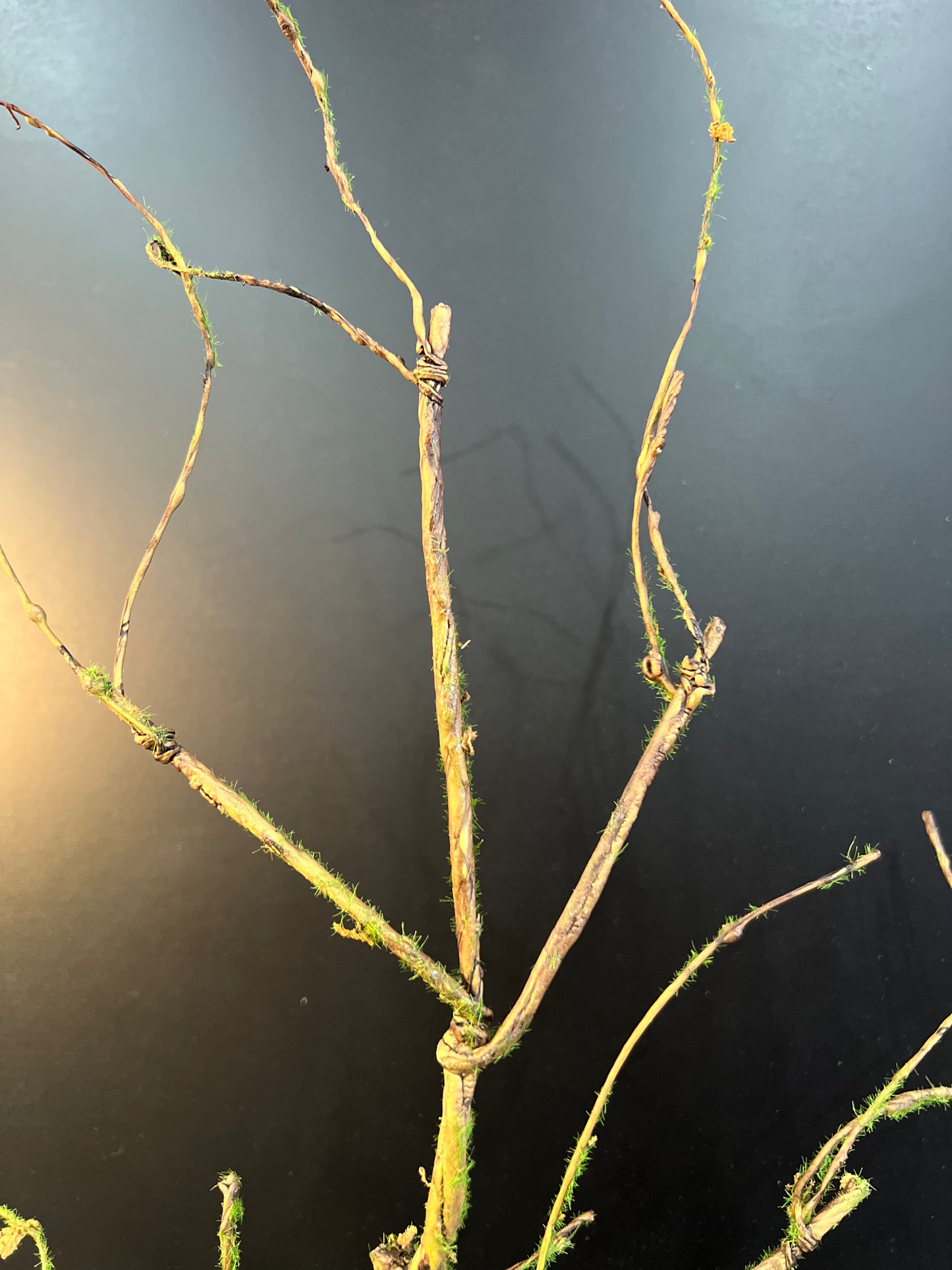 31" TWIG BRANCH W MOSS - Burlap and Bling Decor