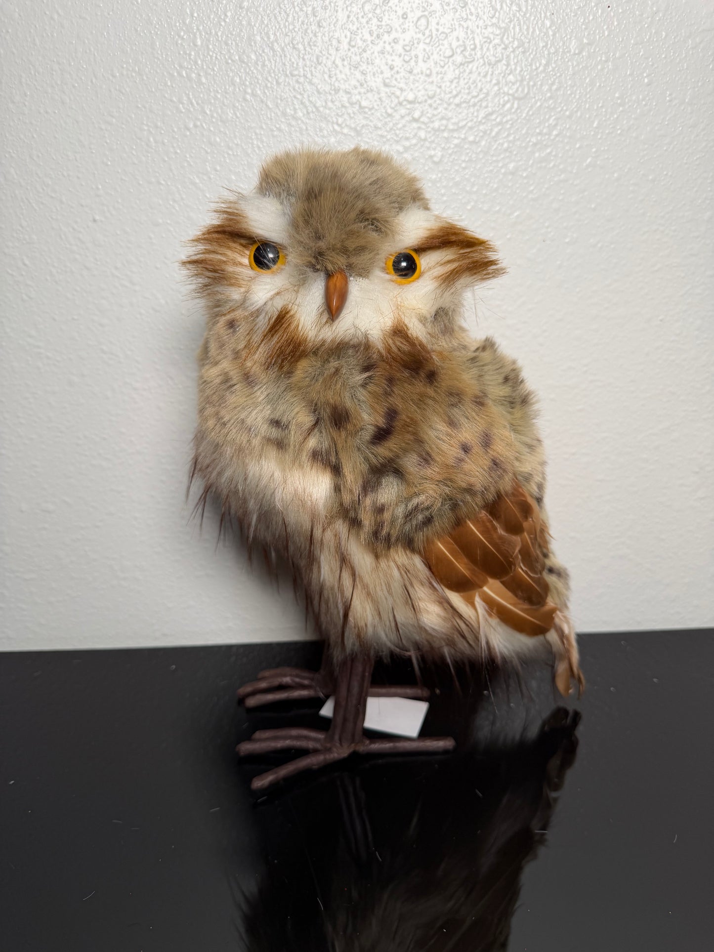 12.5" OWL SHADES OF BROWN EARS BACK