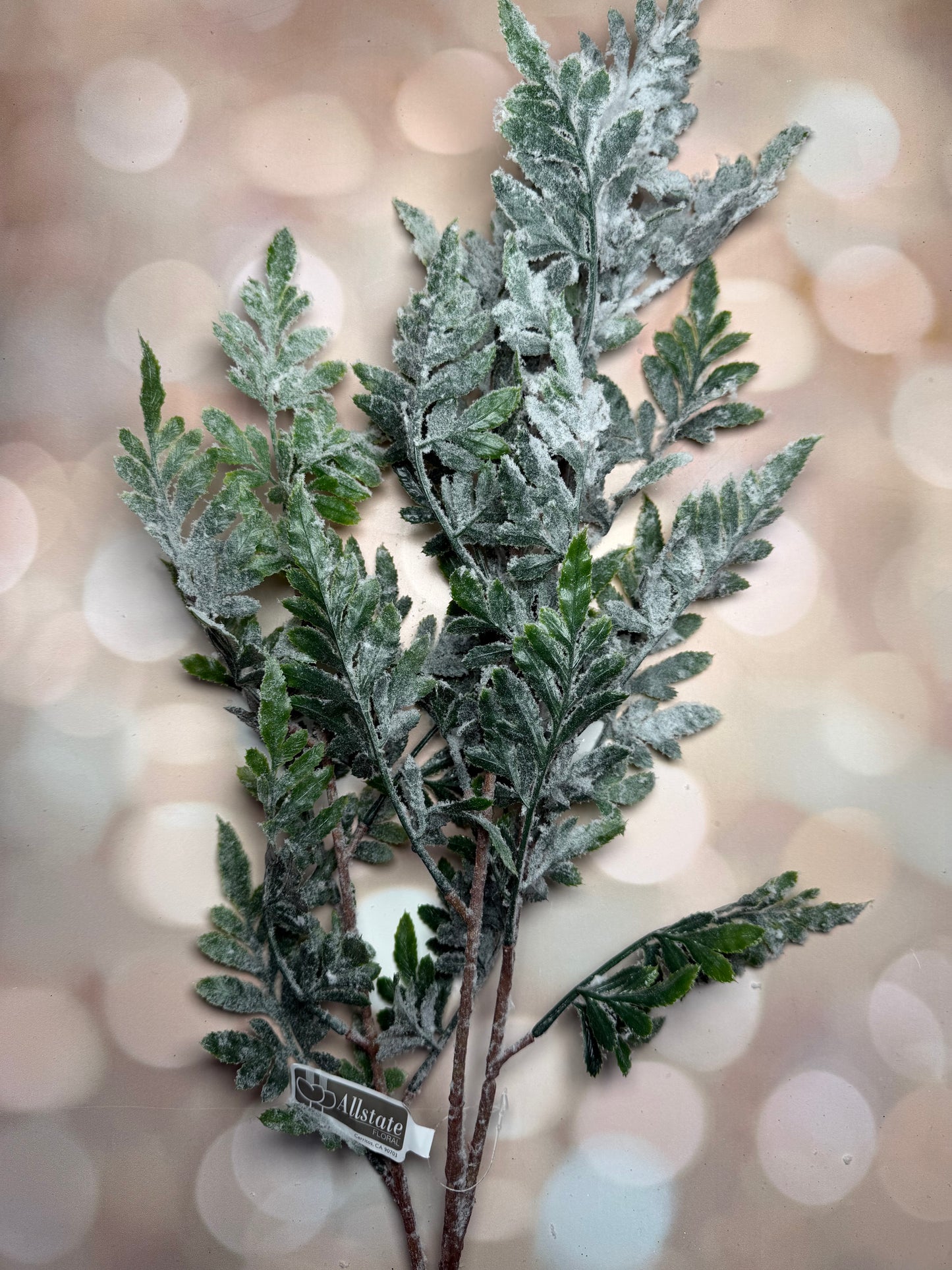 40"SNOWED FERN SPRAY WH/GR