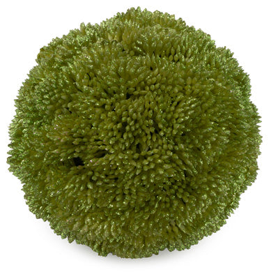 TEA GREEN LG BERRY BALL 4 in - Burlap and Bling Decor