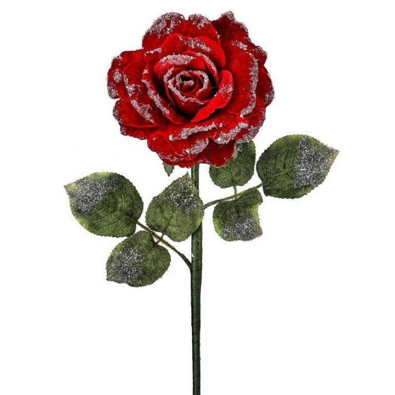 25"SNOW EDGED VELVET ROSE STEM