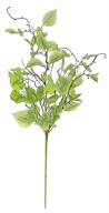 ELM LEAF & TASSEL SEED SPRAY, 32"; SAGE