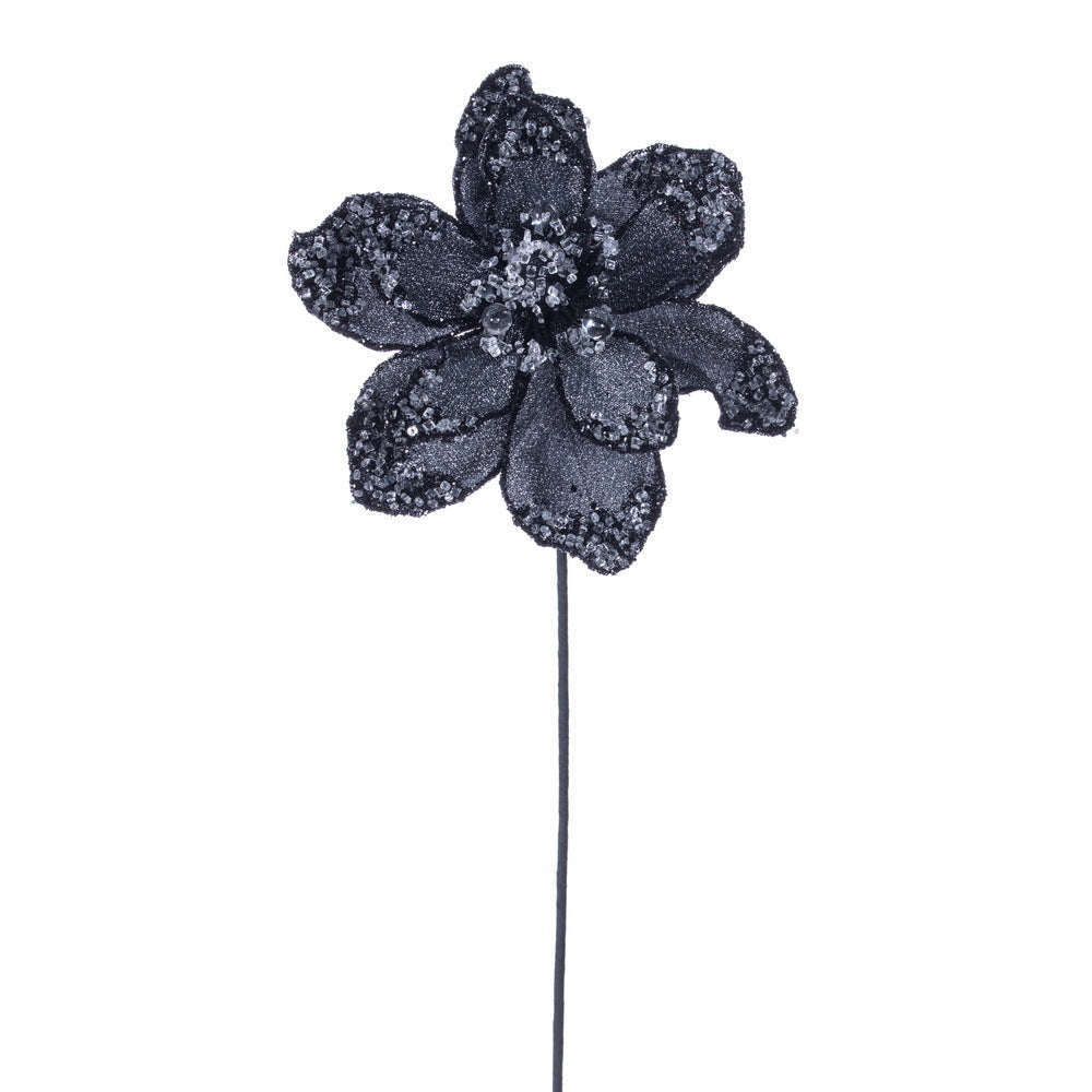 Black Iced Poinsettiat 8.5" Flower