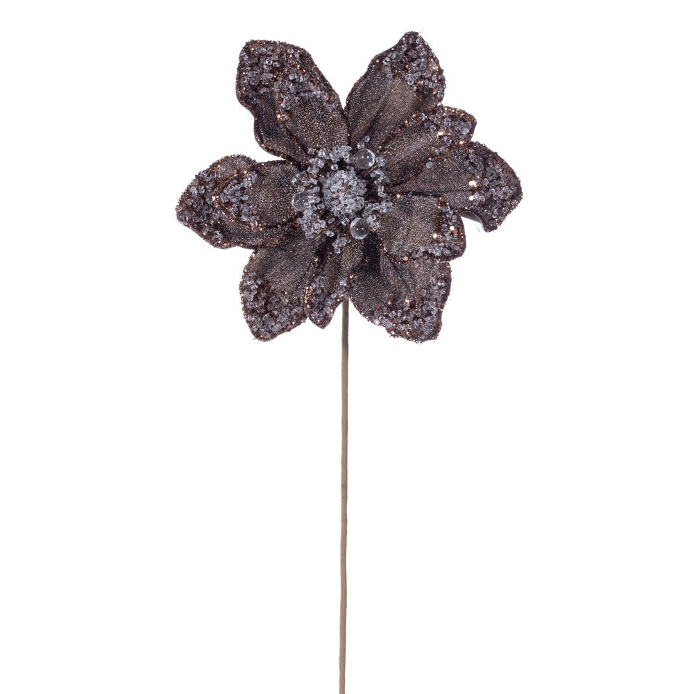 Mocha Iced Poinsettia 8.5" Flower
