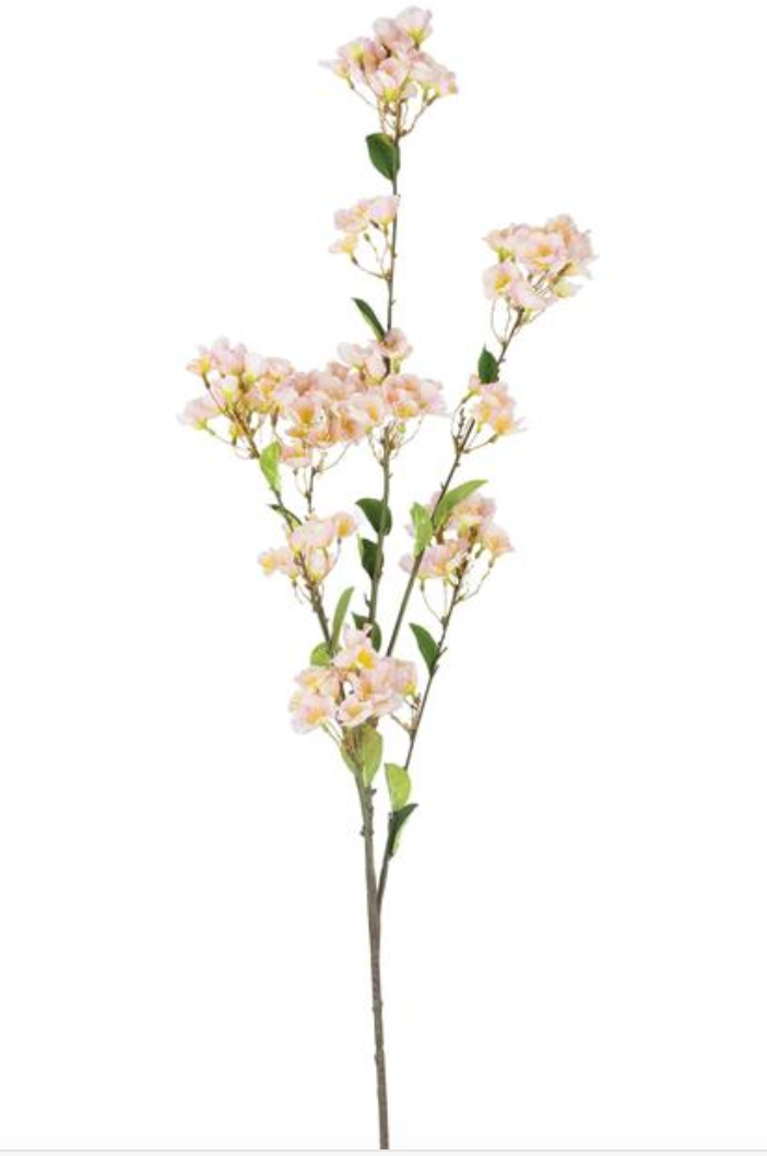 Cherry Blossom Branch Blush