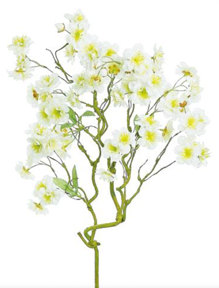 Cherry Blossom Branch- 2" Bloom Cream Beauty