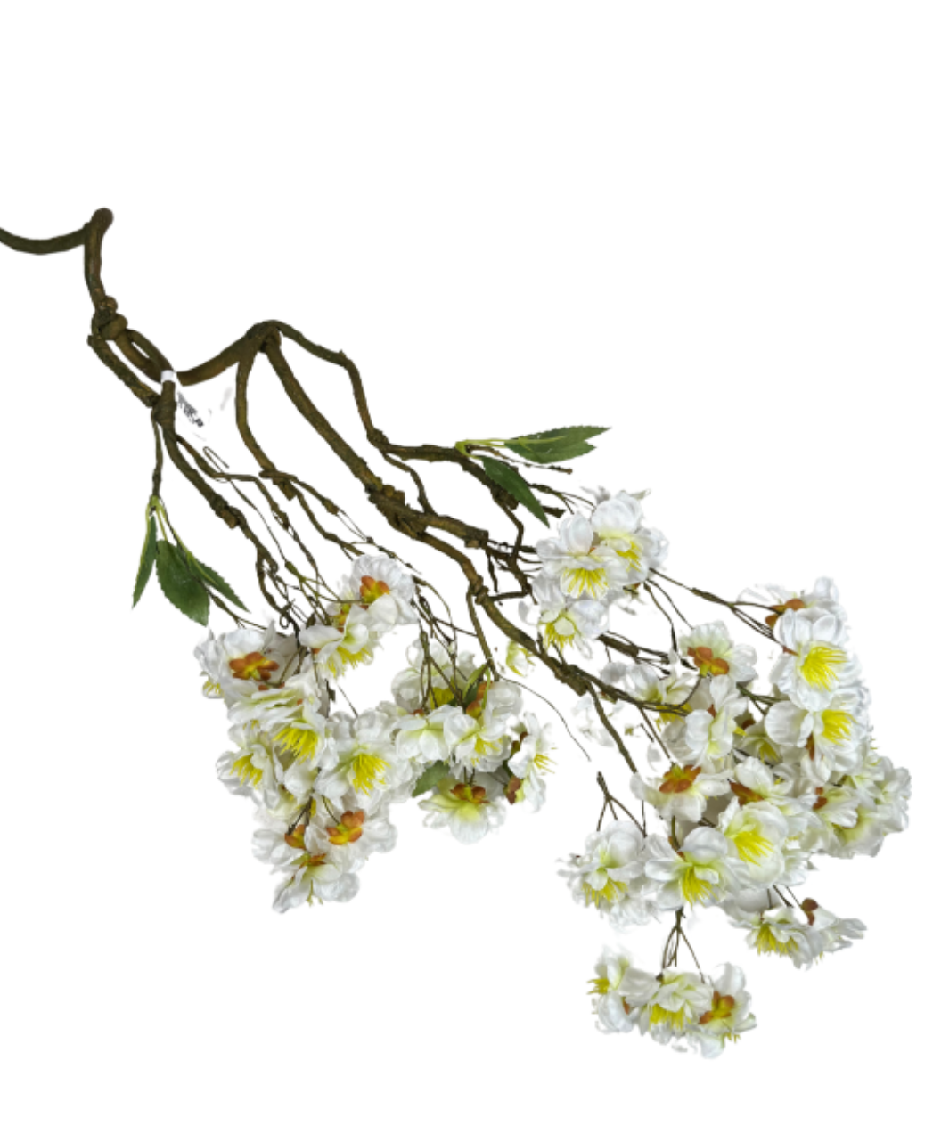Cherry Blossom Branch- 2" Bloom Cream Beauty