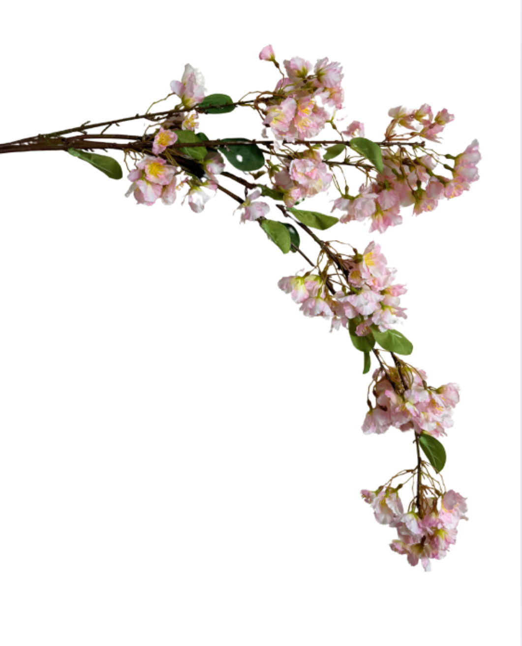 Cherry Blossom Branch Blush