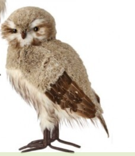 21.5" WINTER CHALET FEATHER OWL 2/AST NACR