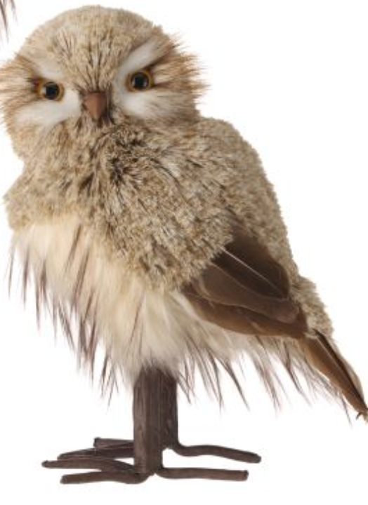 12.5" WINTER CHALET FEATHER OWL 2/AST NACR