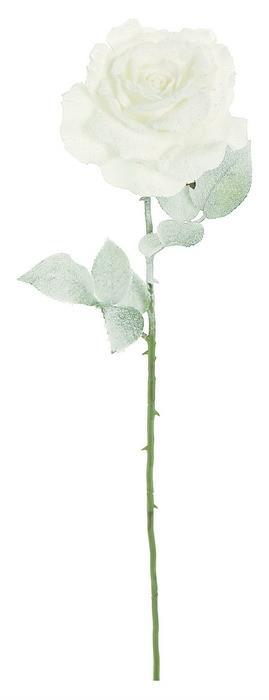 5" BLOOM, WHITE FROSTED GEORGIA ROSE, 26"
