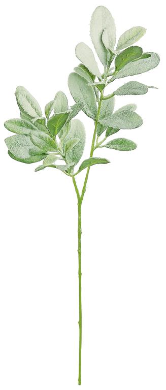SNOWY LAMB'S EAR SPRAY, 28", GREEN