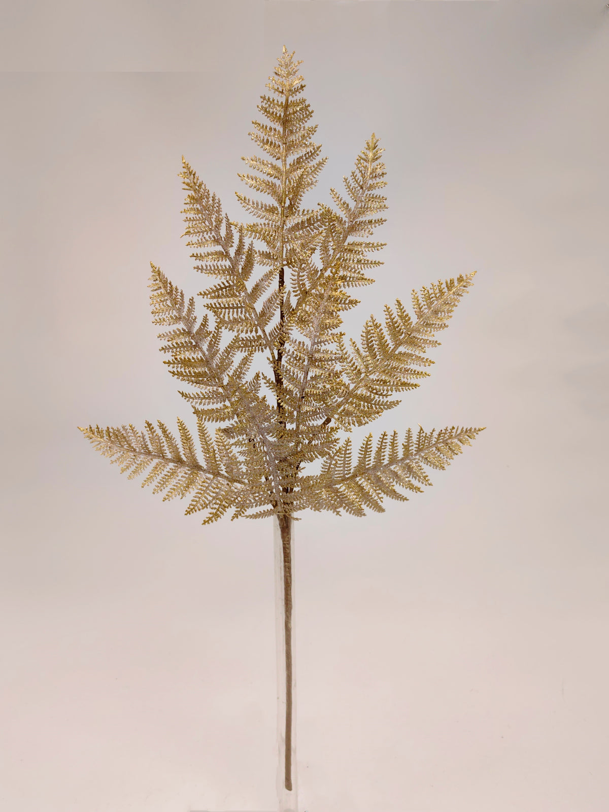 29" FERN SPRAY FROST W GOLD