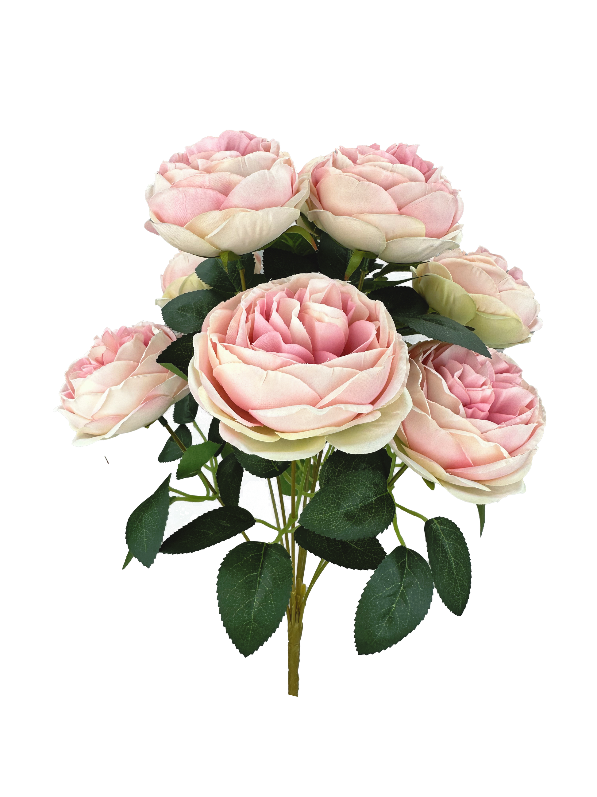Cabbage Rose Bush MV - Burlap and Bling Decor