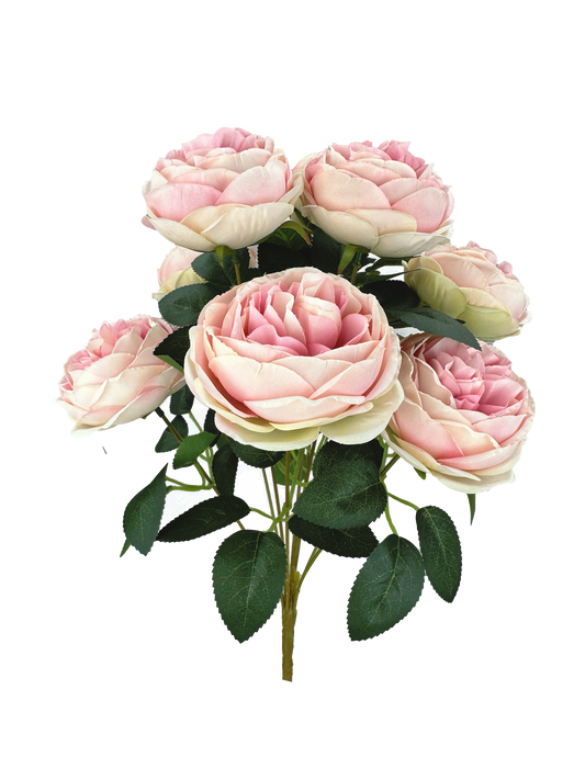 Cabbage Rose Bush MV - Burlap and Bling Decor