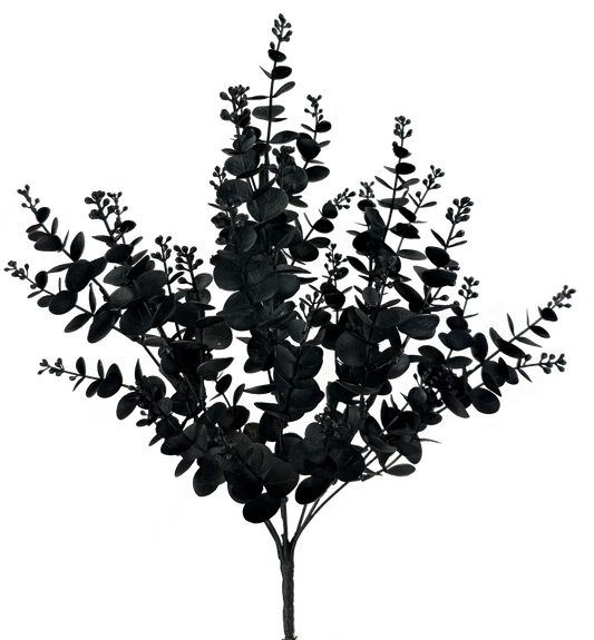 Eucalyptus Bush Black