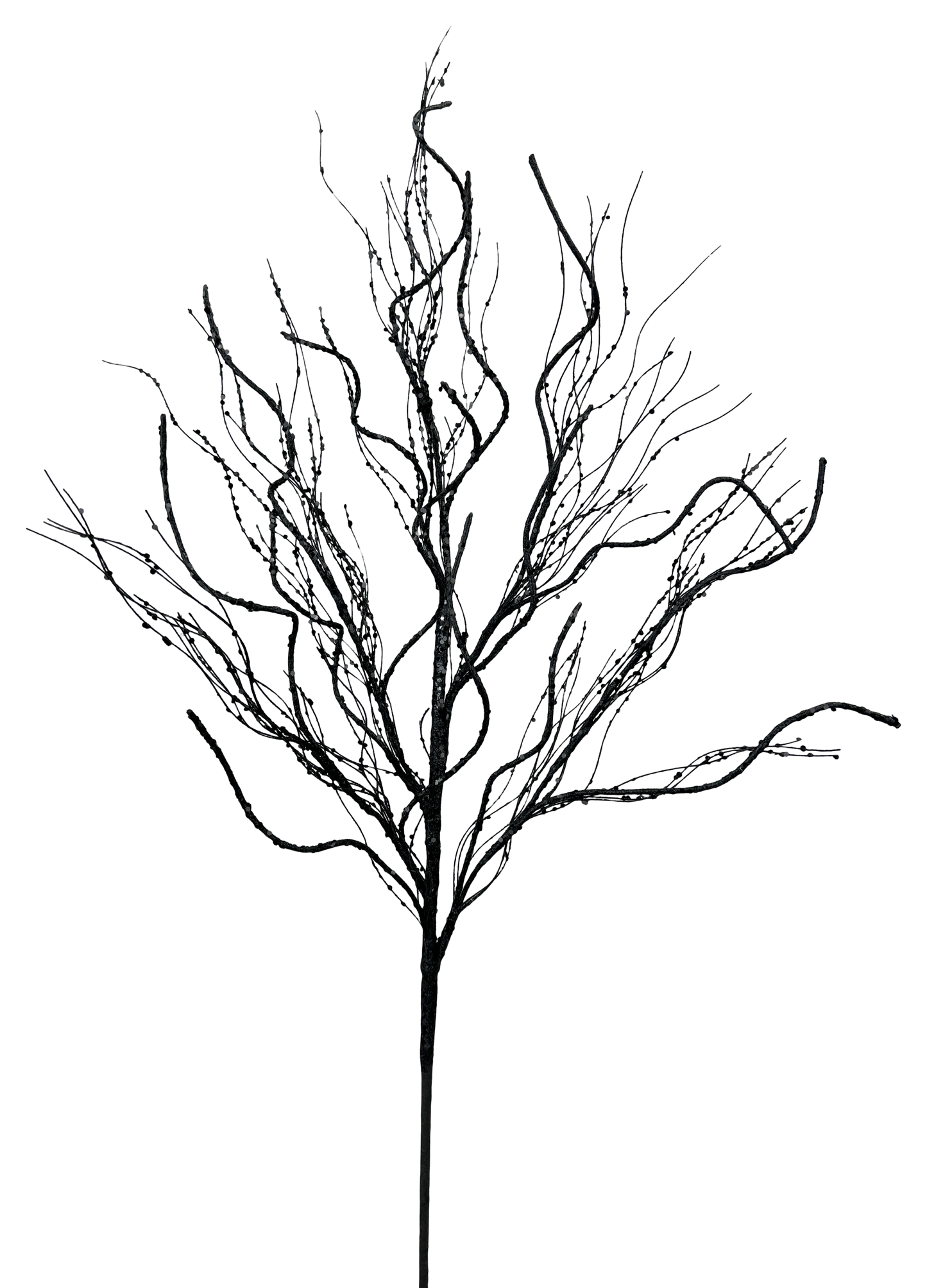 Black Twig Spray H30