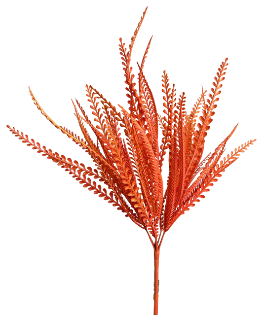 Orange Beaded Grass