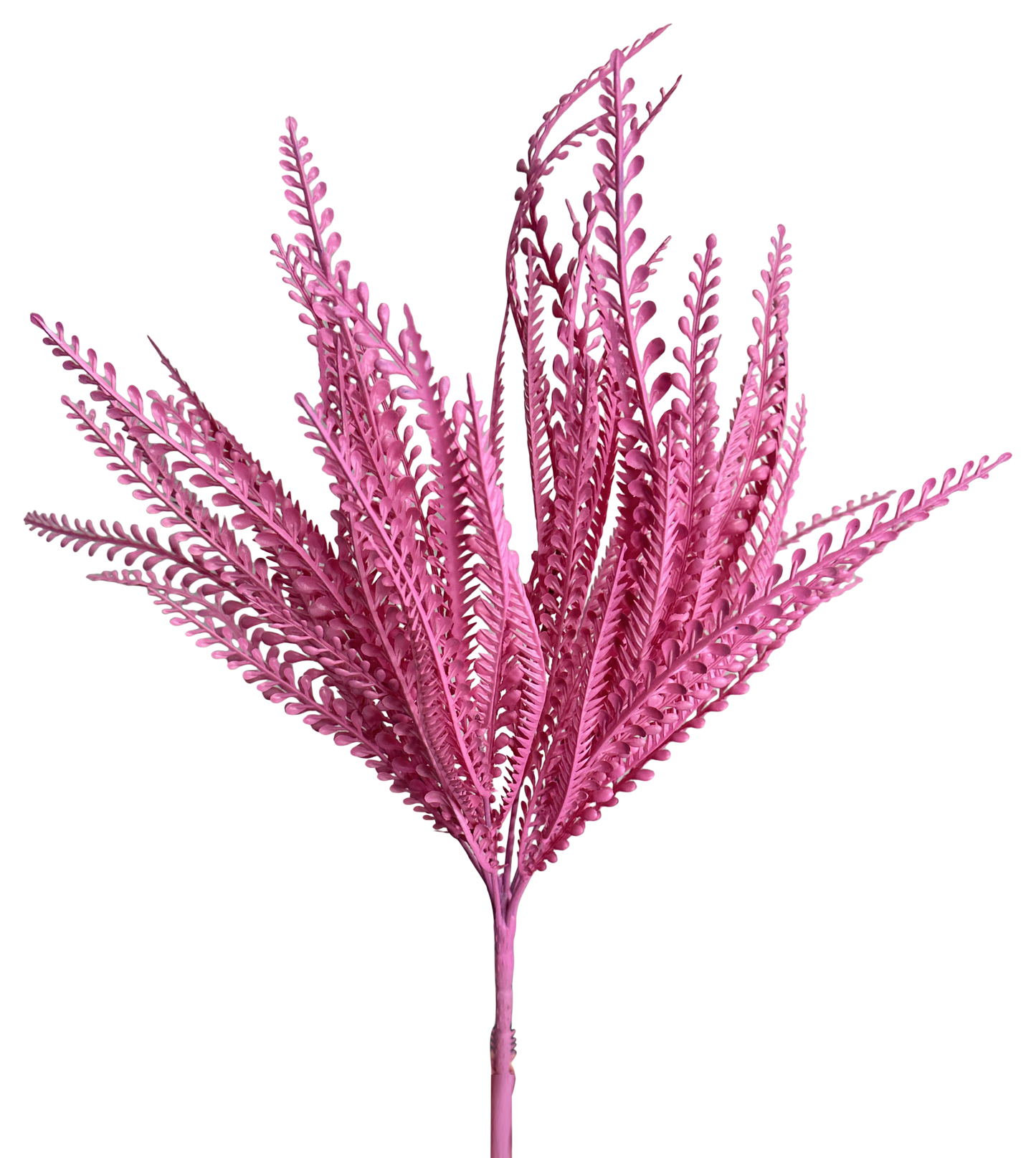 Pink Beaded Grass