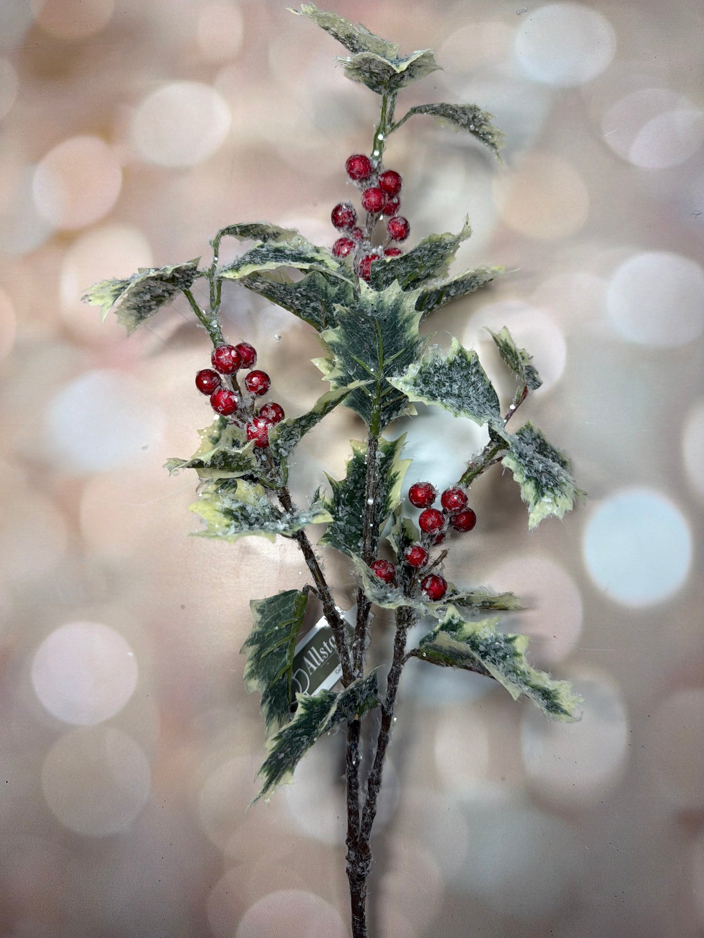 28" Iced Holly Spray with Berry Variegated Ice