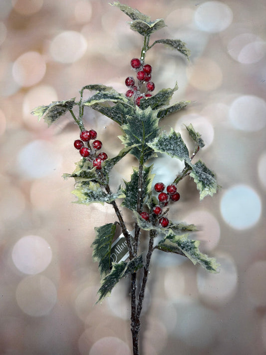 28" Iced Holly Spray with Berry Variegated Ice