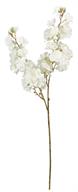 Cherry Blossom Cream/White - Burlap and Bling Decor