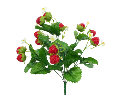 Strawberry Bush - Burlap and Bling Decor