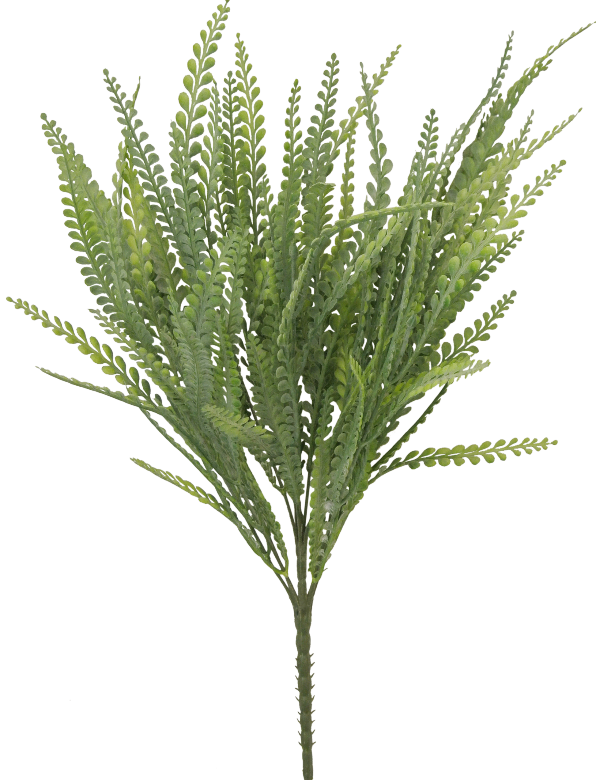 21 IN BUTTON FERN - Burlap and Bling Decor