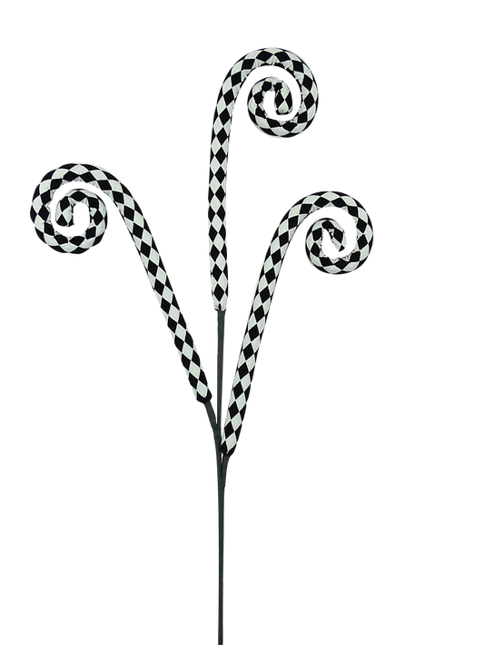 Harlequin Curly Spray Black/White