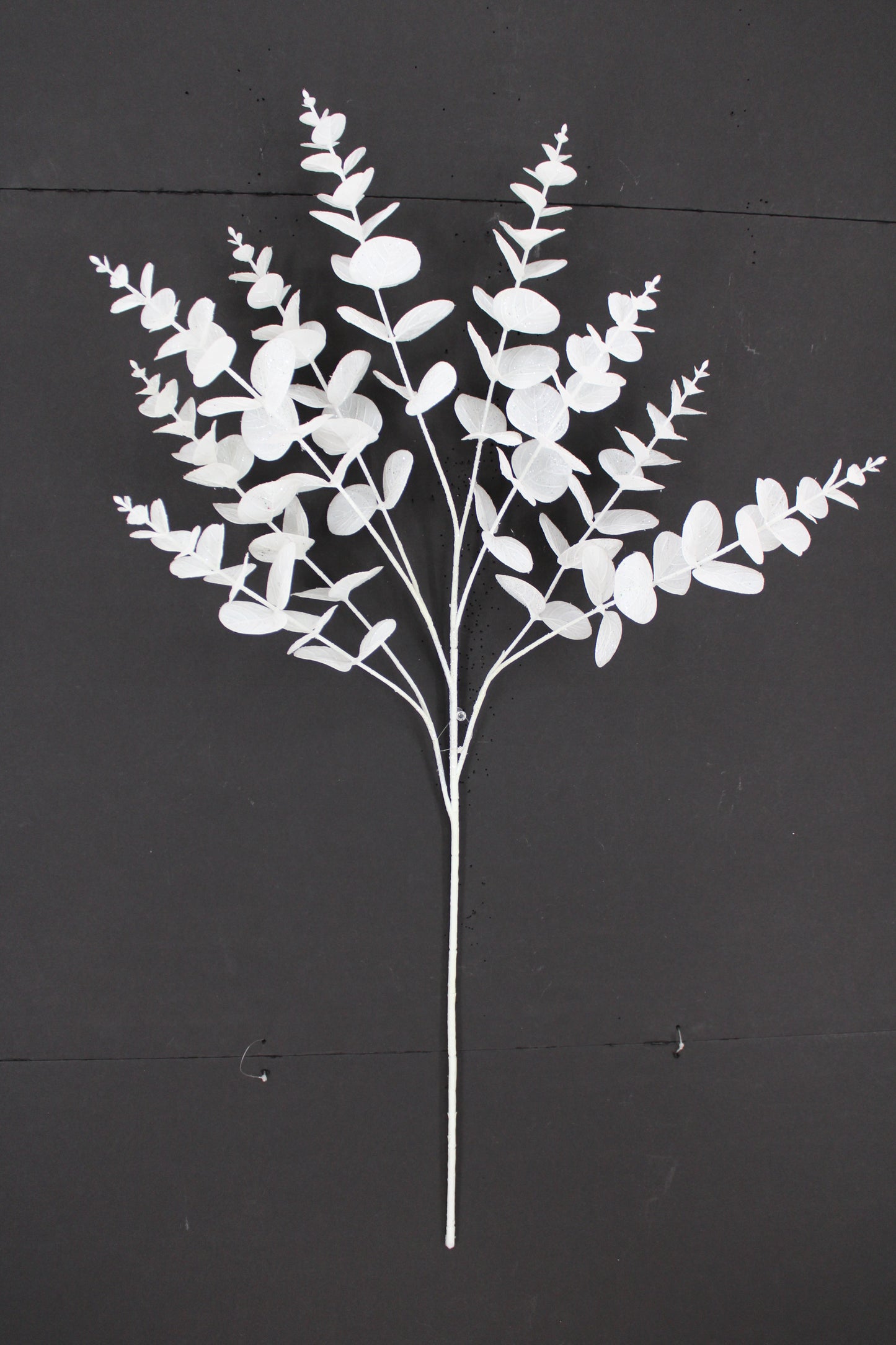 34 " EUCALYPTUS WHITE SPRAY